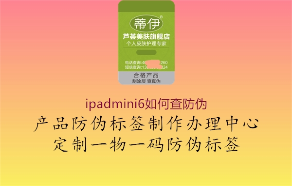 ipadmini6如何查防偽1.jpg